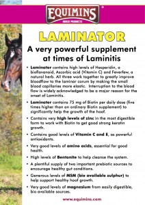 Laminator A4 Leaflet April 2012 copy